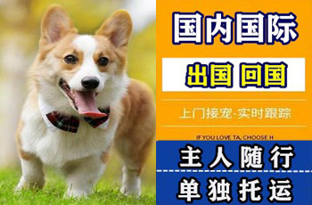 六盘水市宠物托运公司六盘水市宠物托运公司六盘水市宠物托运公司
