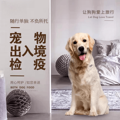 六盘水市宠物托运到哥伦比亚猫狗宠物入境规定和