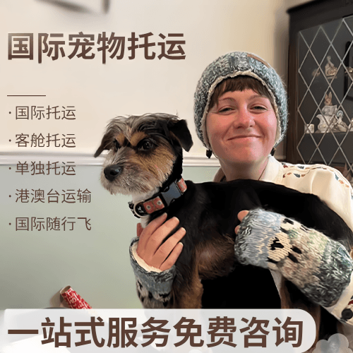六盘水市国际宠物托运到阿根廷宠物入境规定和要