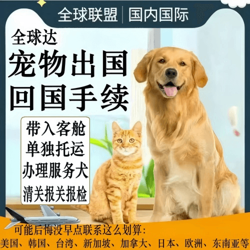 六盘水市宠物托运到柬埔寨宠物入境规定和要求