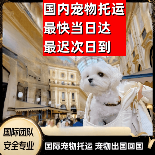 六盘水市到澳大利亚（澳洲）宠物入境规定和要求